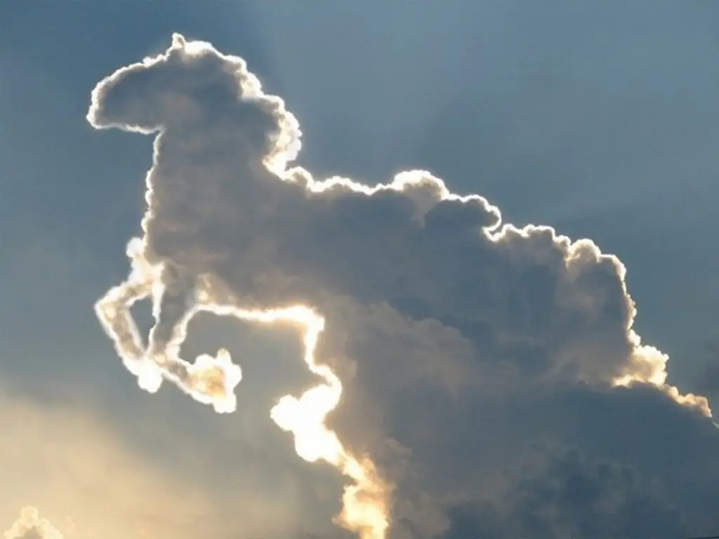 Horst is part of the Clouds That Look Like Things