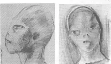 A picture of the alien