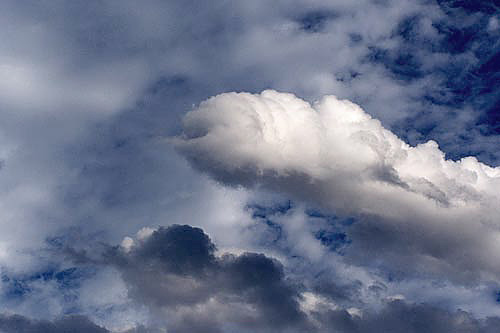 This dick is in the Clouds That Look Like Things