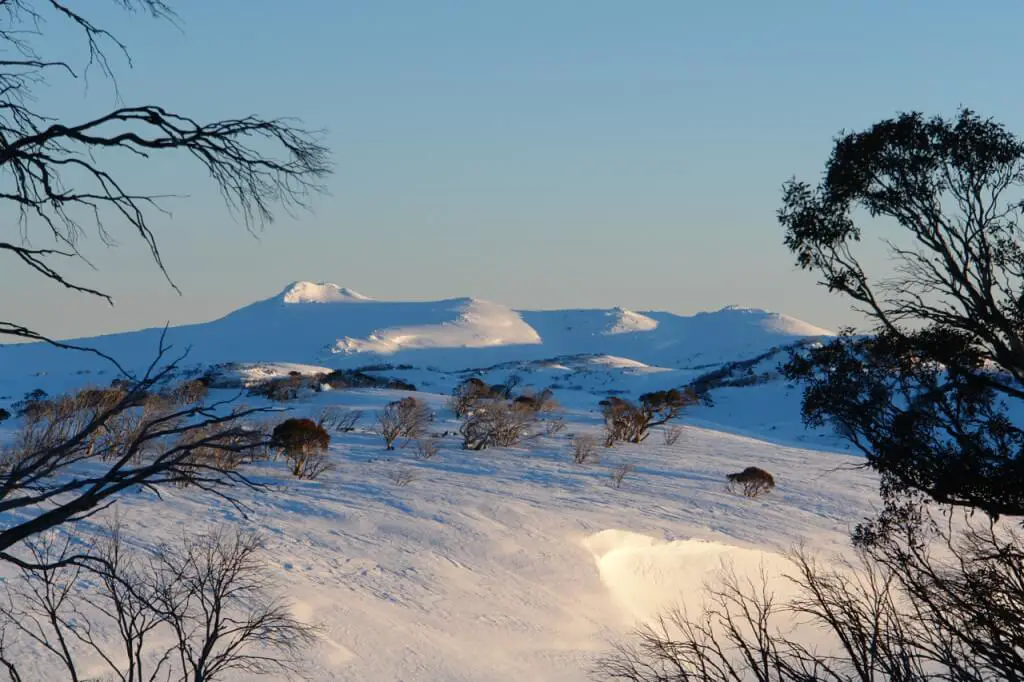 Here's some unusual facts about Australia you might not know.