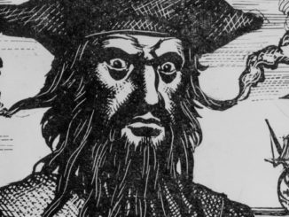 Pirate facts you have to read!