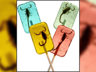 Weird candy from around the world.