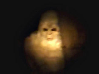 Real Bigfoot sightings caught on camera.