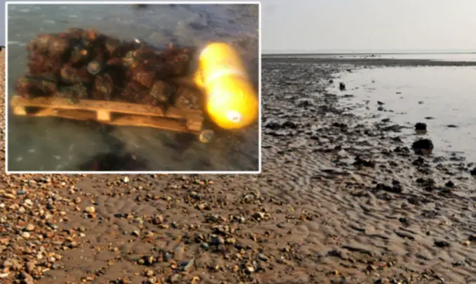 These are the weirdest things washed ashore