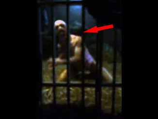 Creepy cryptid sightings caught on film.
