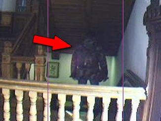 Paranormal webcams let you see ghosts live on stream.