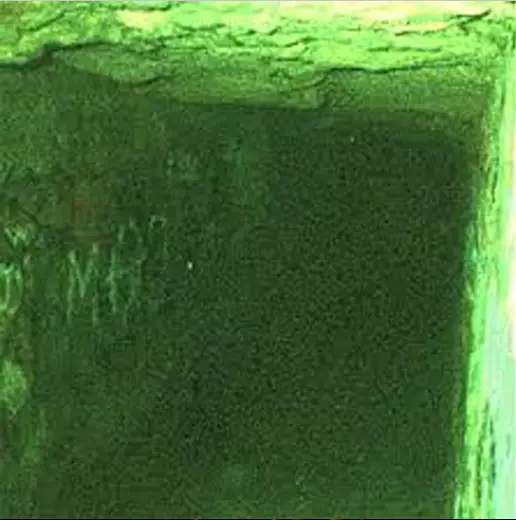 An eerie live feed via paranormal webcam in the Paris Catacombs