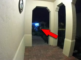 Mysterious videos sent in by Slapped Ham Viewers