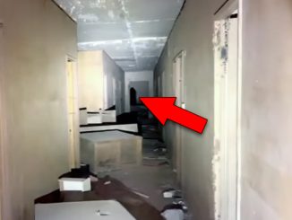 Scary things caught on camera