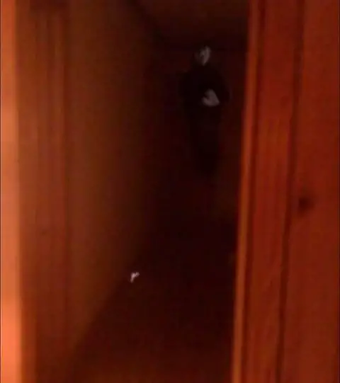 Sombra aterradora figura en el pasillo, enviada por el espectador de Slapped Ham Cathleen R