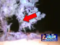 Mysterious Things Caught on Live TV