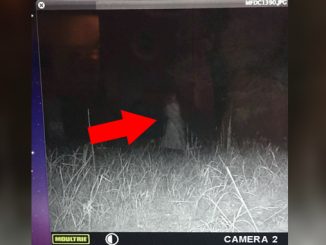 Terrifying Photos Found on Reddit
