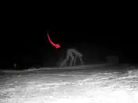 The Rake: Trail cam video shows elusive cryptid.