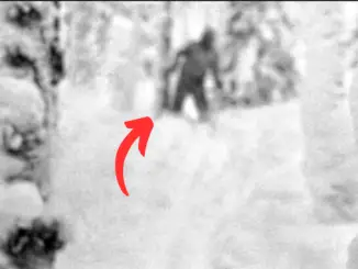 Dyatlov Pass Incident