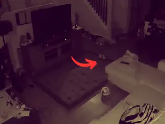 Mysterious Self-Moving Shoes