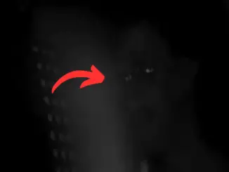 Ring Home Security Camera